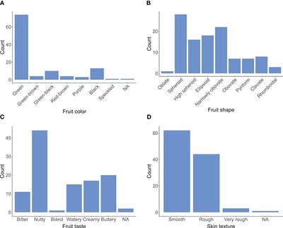 Comprehensive genetic diversity and genome-wide association studies revealed the genetic basis of avocado fruit quality traits